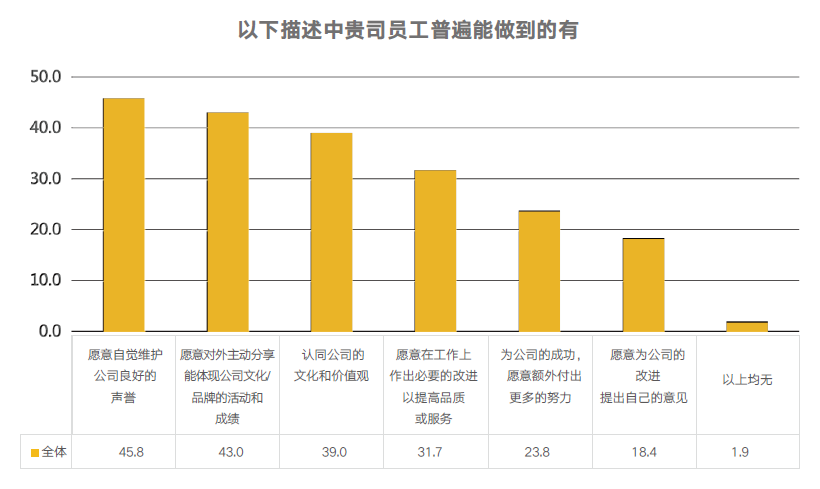 企业文化实施效果