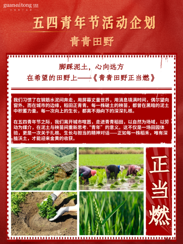 五四青年节活动企划青青田野.png